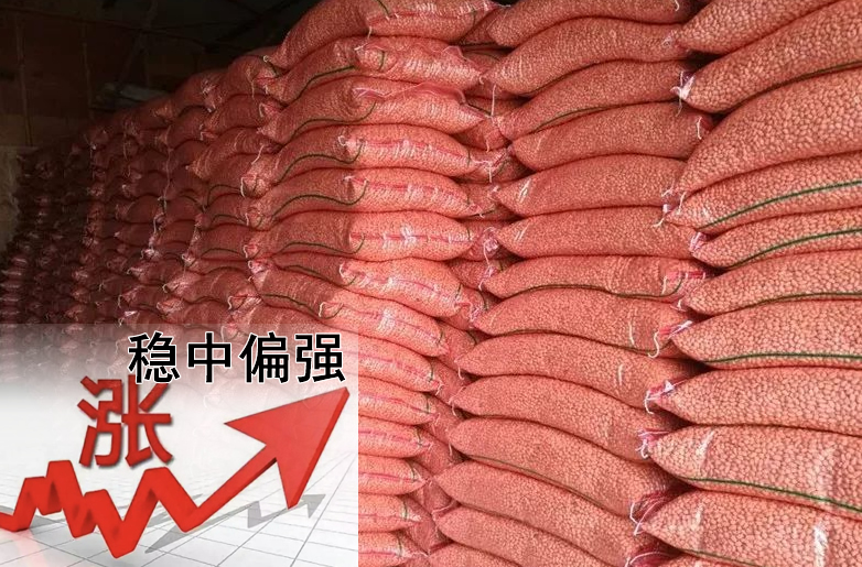 花生價(jià)格持續偏強，需要訂貨的請提前安排